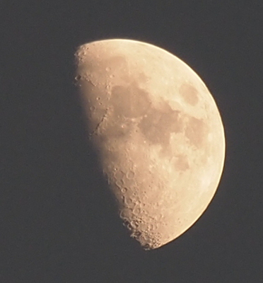 [More than half the moon is visible with the orb showing from about 11 o'clock to 5 o'clock. The setting sun has light the moon allowing the camera to clearly capture dozens of craters on the moon's surface. Part of the surface has dark grey blotches while the rest is a lighter hue.]